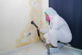 Best Asbestos and Lead Testing During Mold Inspection in Fort Belknap Agency, MT